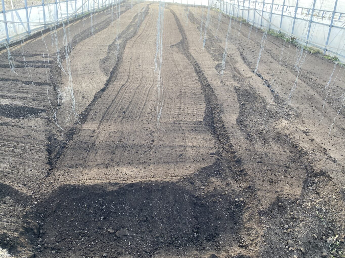 24287E05 64D1 44B0 AC5D 0A4F4880052D