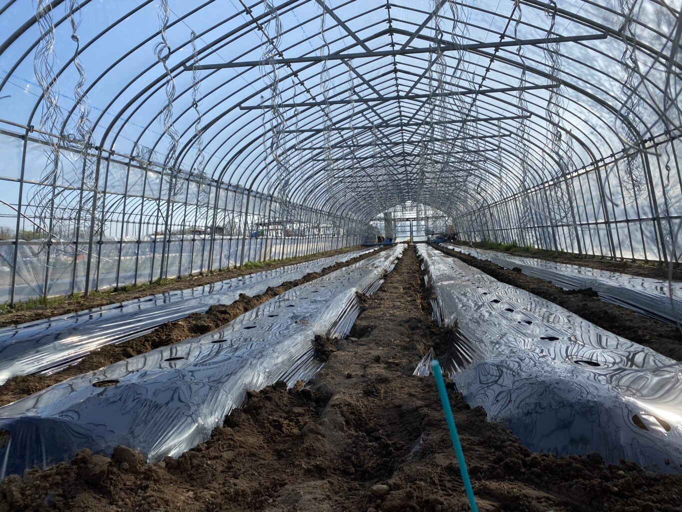 34BADE41 D3B5 450D 8CBA 9367B9918A59