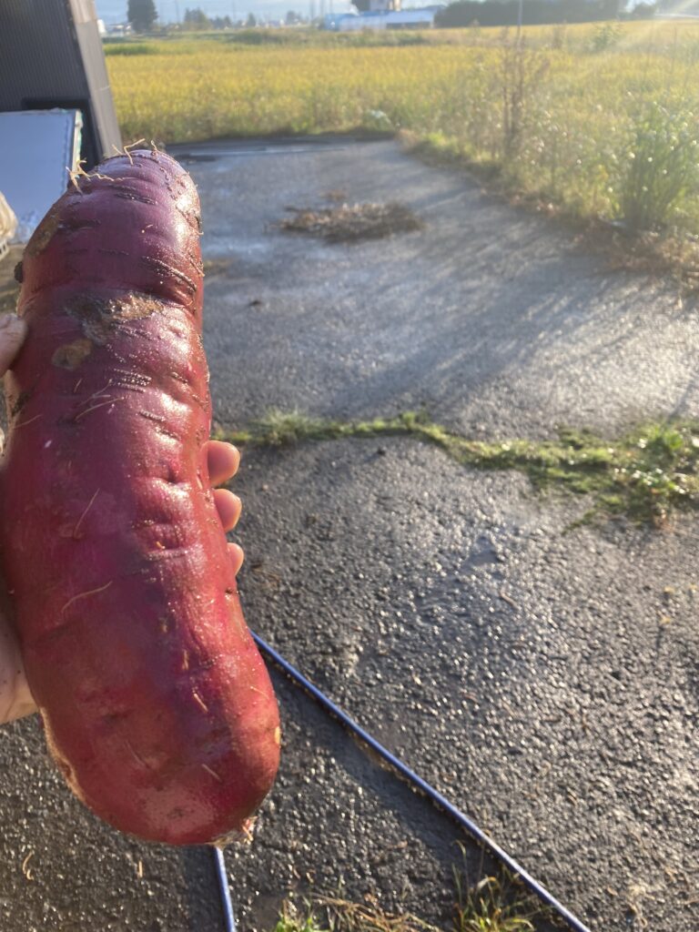 5D5144F2 EA5D 4F2C B4A2 3F0852024B99 768x1024 1