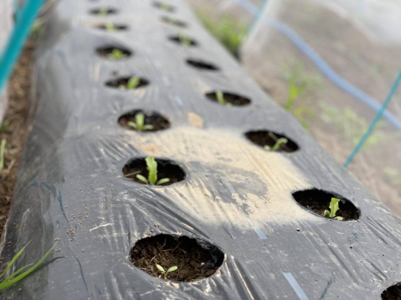 6593FAF0 268B 42F9 9DA4 0D7EFD151CB6 1365x1024 1