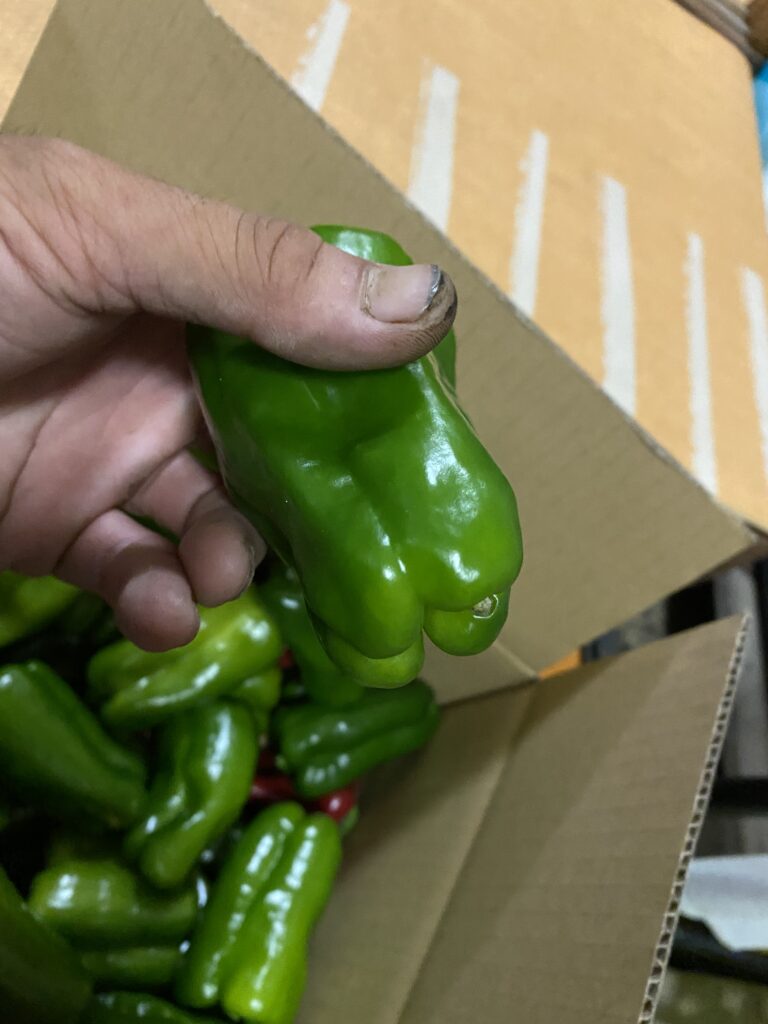 66F27570 F696 46CE AD06 6F91F4023224