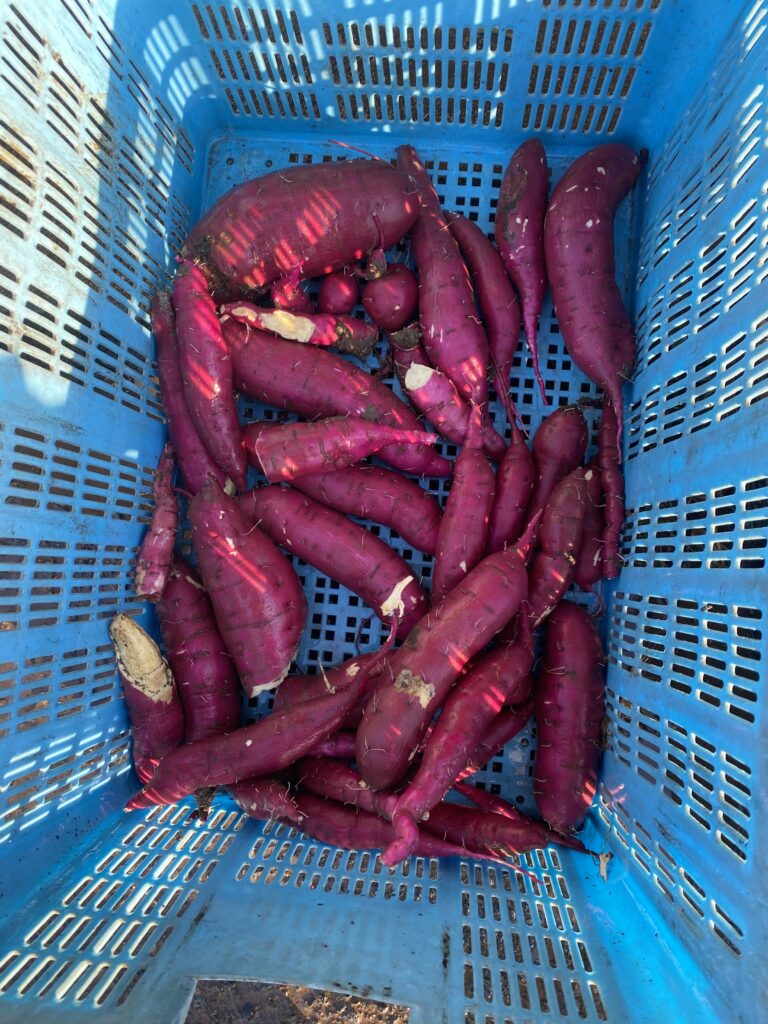 7F88BC52 CEA7 411B 9400 03E190ADAC5B 768x1024 1