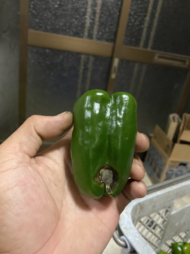 93C05871 F32C 470C AB7F C0817715F0EF