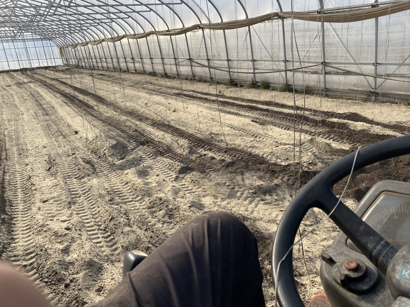 9680D435 5373 46B4 8E6D 5D7D54A76A22