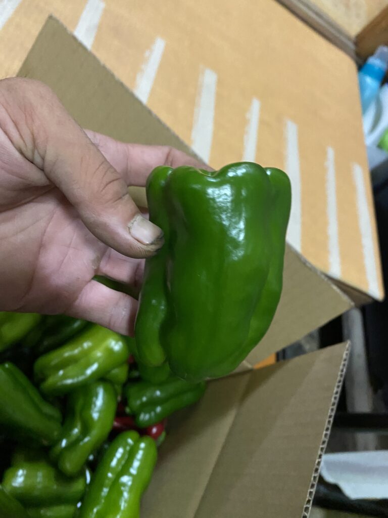 C6F3DB75 31A3 4EA2 8F23 B9CCED8F28FF