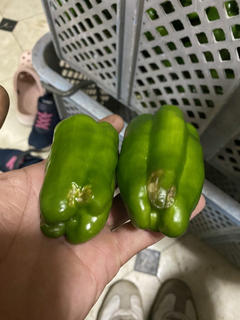 E3BF0F7F 834E 4DE0 9D3A A026297BC696