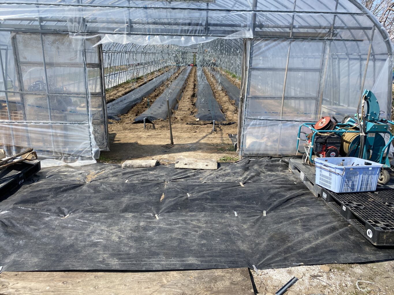 E6795228 3E7A 4372 97B4 5B59E86AF8D2